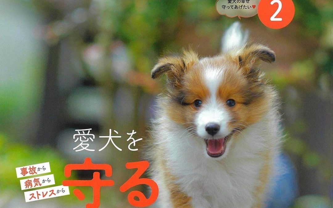 【雑誌掲載】いぬのきもち２月号でunirを紹介していただきました！